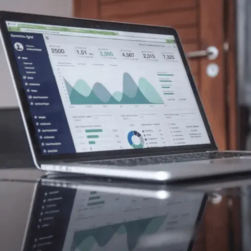 SEO Optimization Services by CodVion